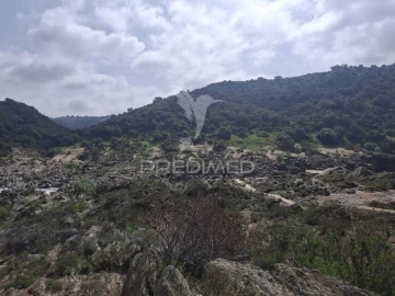 Terreno para Venda em Mertola