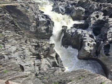 Terreno para Venda em Mertola