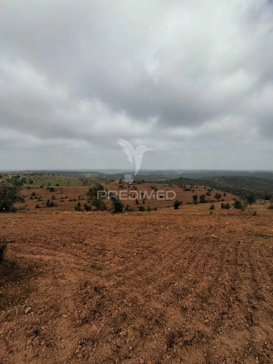 Terreno para Venda em Mertola Foto 15