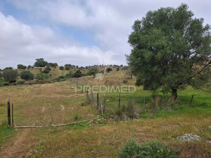 Terreno para Venda em Mertola Foto 24