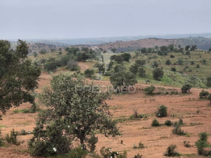 Terreno para Venda em Mertola Foto 9