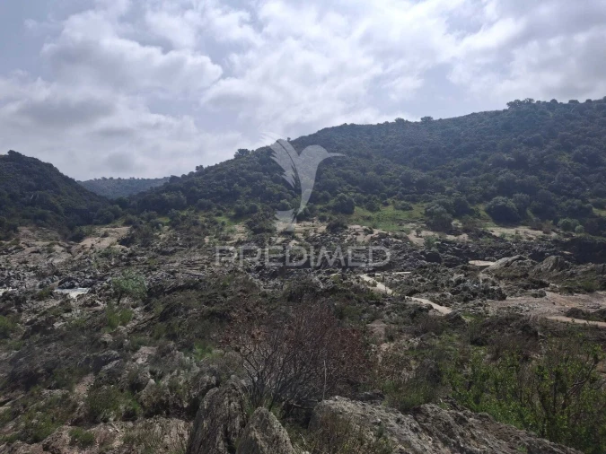 Terreno para Venda em Mertola Foto 26