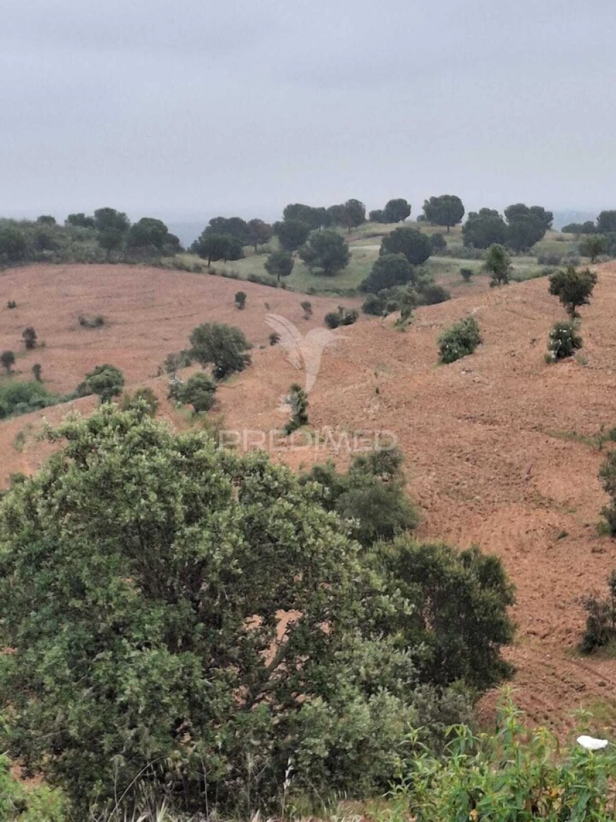 Terreno para Venda em Mertola Foto 17