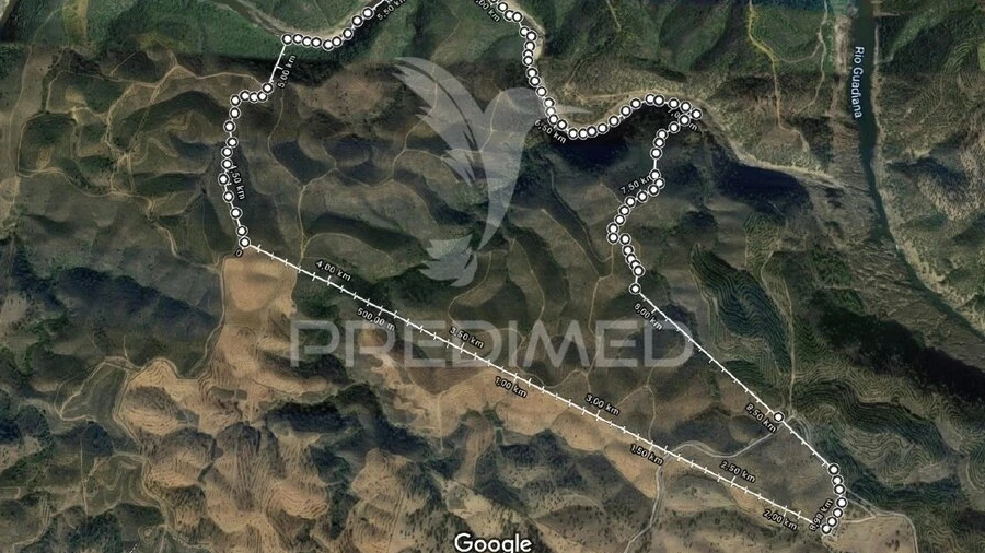 Terreno para Venda em Mertola