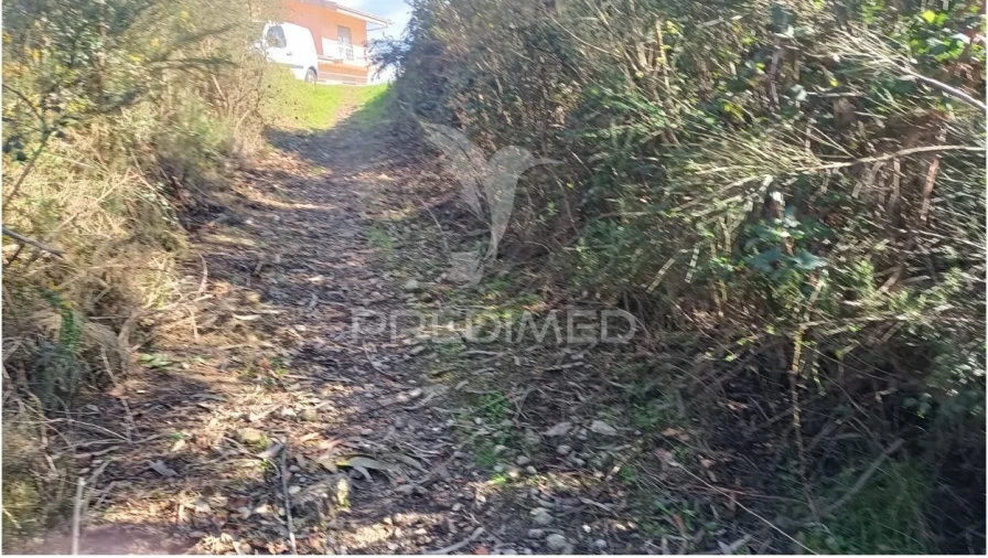 Terreno para Venda em Nogueira e Silva Escura Foto 5