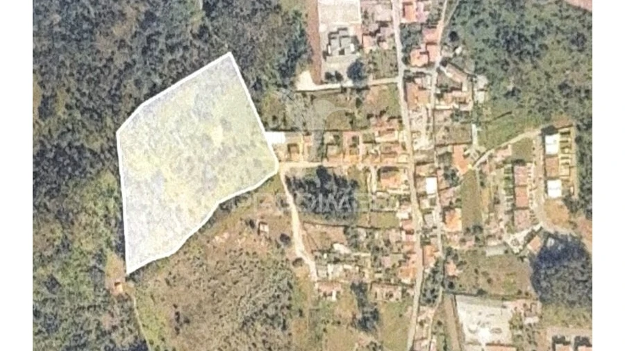 Terreno para Venda em Nogueira e Silva Escura