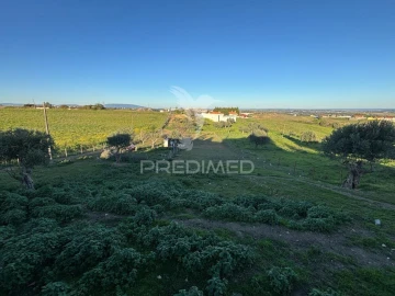 Moradia T3 para Venda em Achete, Azoia de Baixo e Póvoa de Santarém