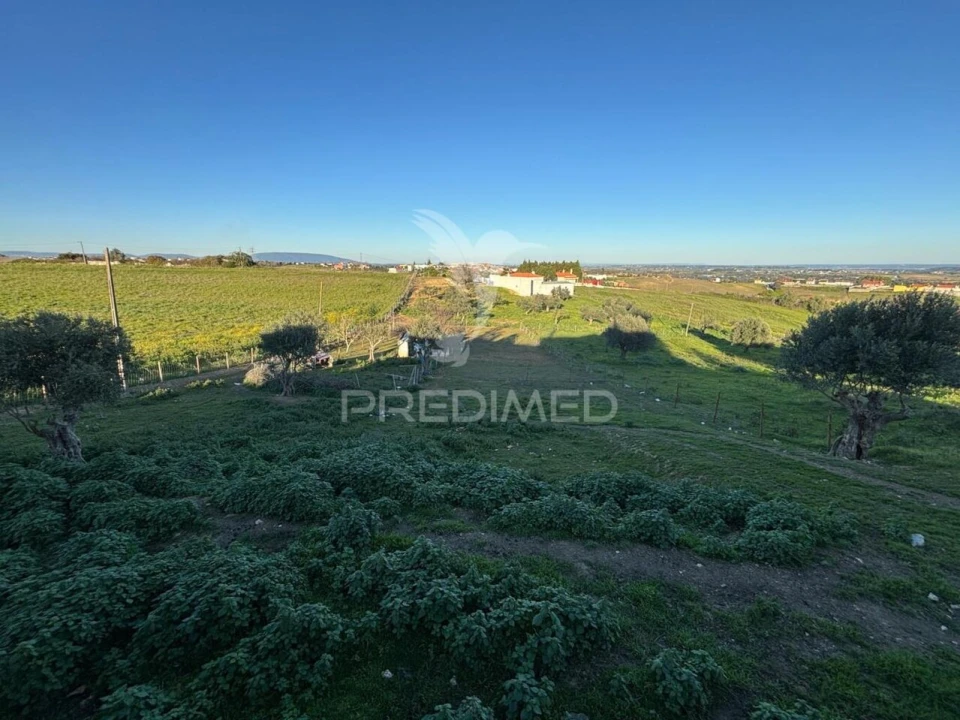 Moradia T3 para Venda em Achete, Azoia de Baixo e Póvoa de Santarém Foto 4