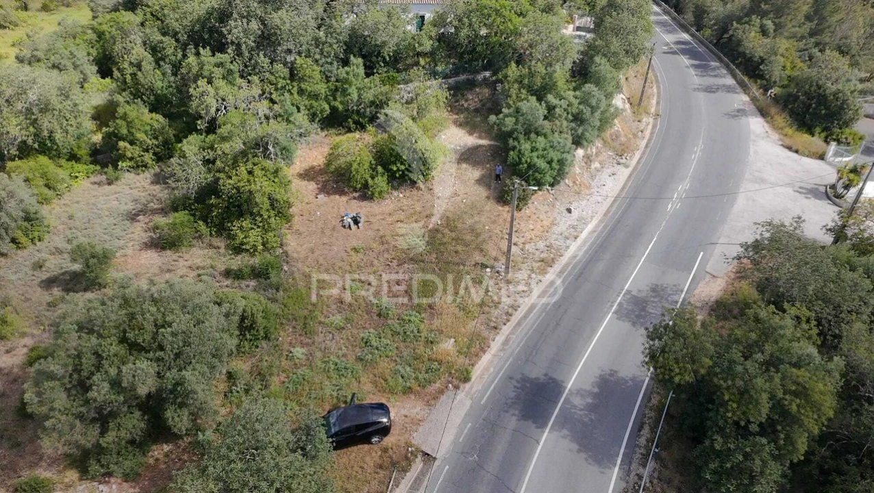 Terreno para Venda em São Brás de Alportel Foto 6