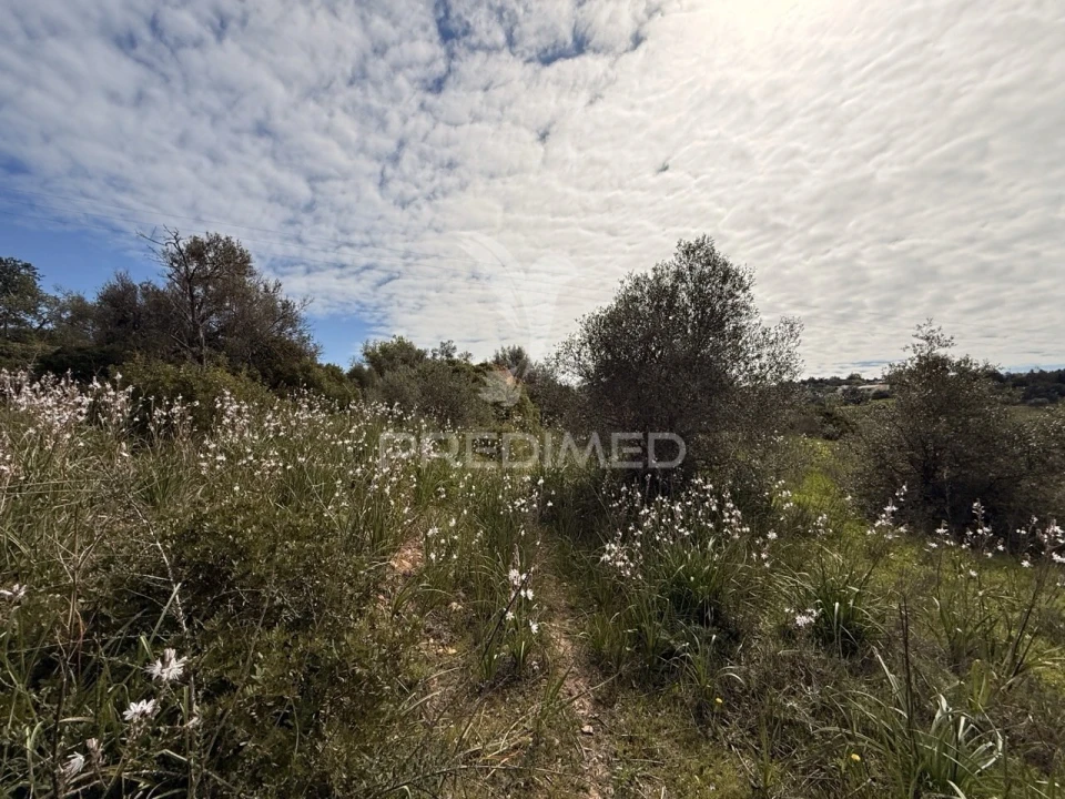 Terreno para Venda em Conceição e Estoi Foto 15