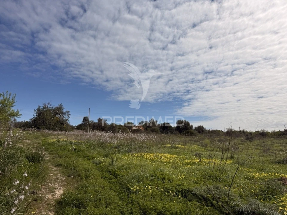 Terreno para Venda em Conceição e Estoi Foto 2