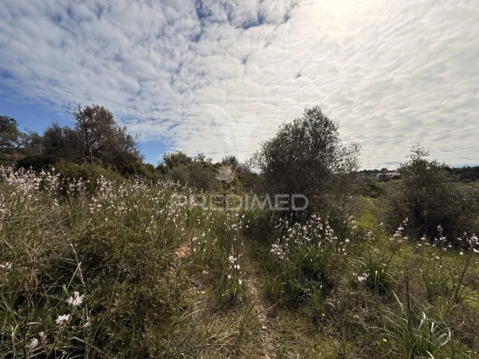 Terreno para Venda em Conceição e Estoi Foto 15