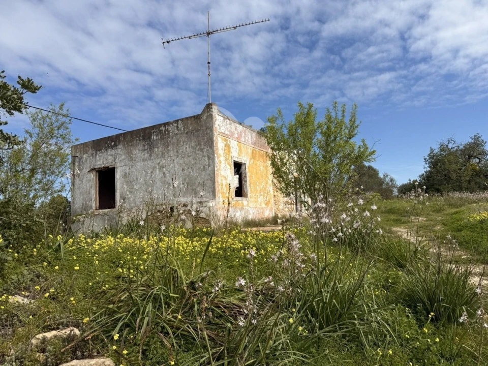 Terreno para Venda em Conceição e Estoi Foto 10