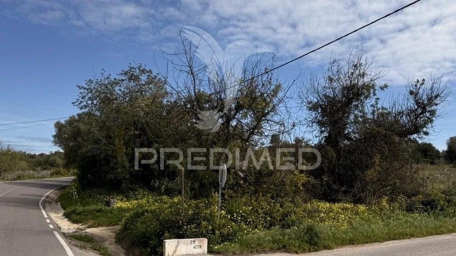 Terreno para Venda em Conceição e Estoi