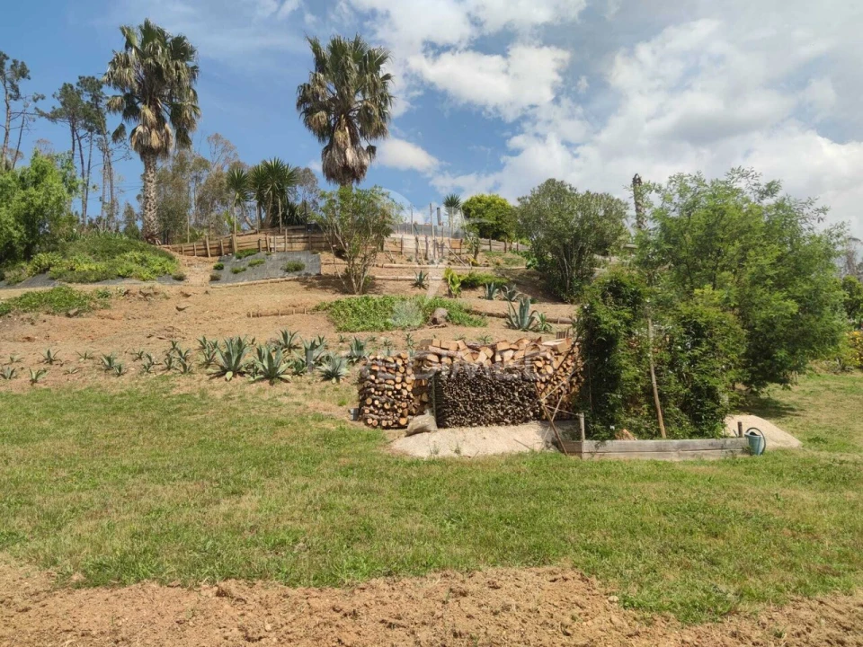 Moradia T4 para Venda em Santiago e São Simão de Litém e Albergaria dos Doze Foto 13
