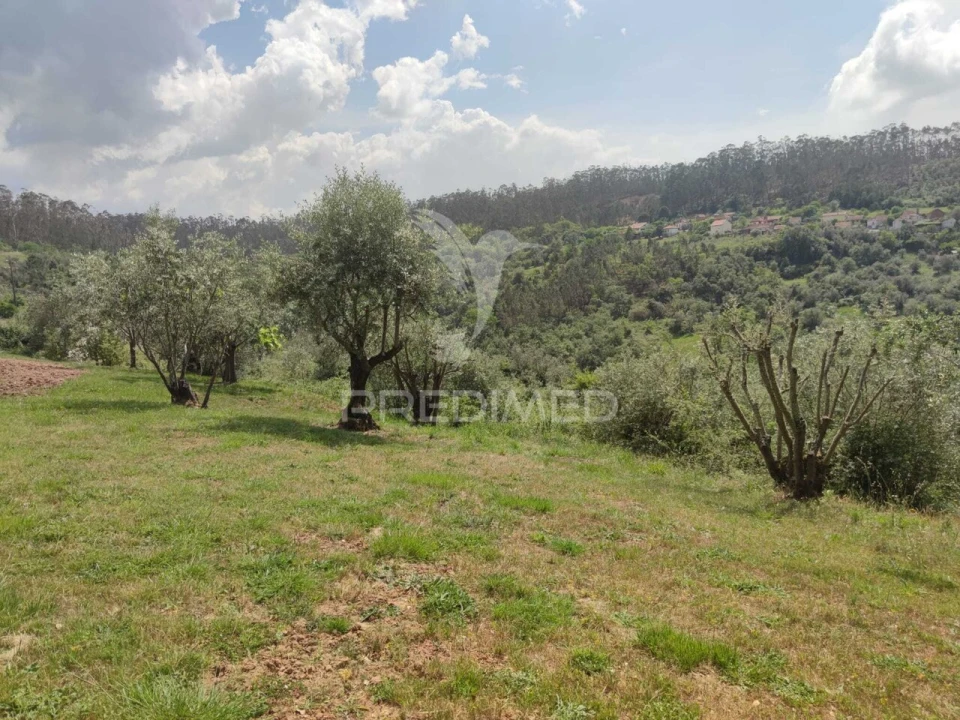 Moradia T4 para Venda em Santiago e São Simão de Litém e Albergaria dos Doze Foto 10