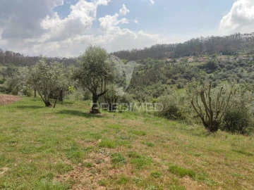 Moradia T4 para Venda em Santiago e São Simão de Litém e Albergaria dos Doze