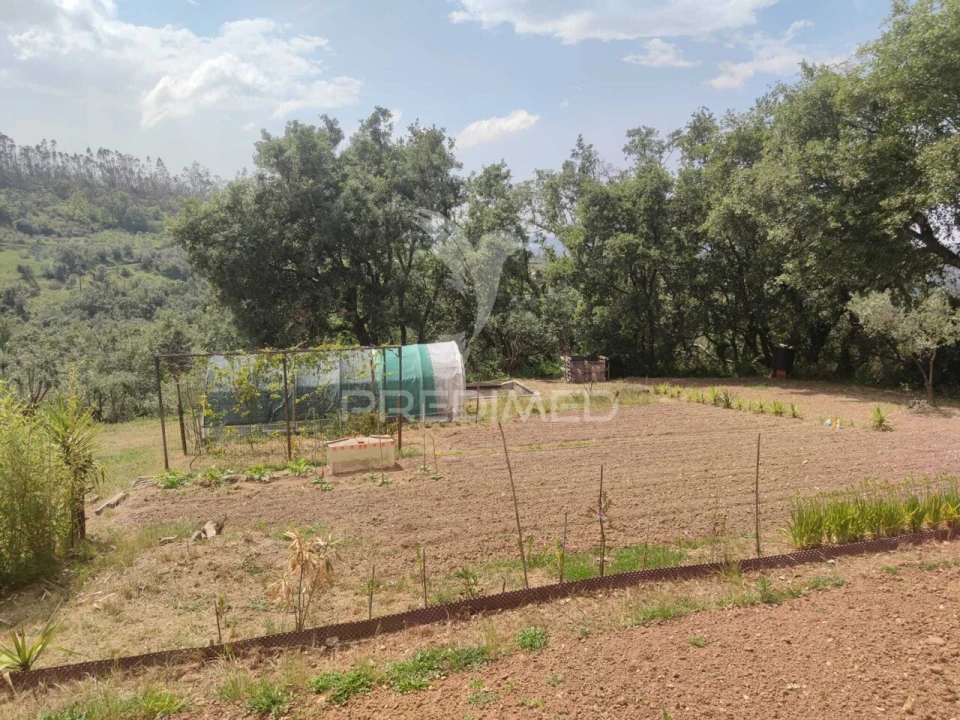 Moradia T4 para Venda em Santiago e São Simão de Litém e Albergaria dos Doze Foto 11