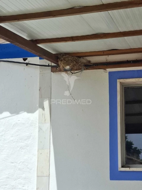 Quinta T3 para Venda em Pardais