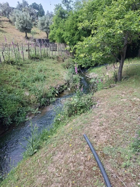 Quinta T3 para Venda em Pardais