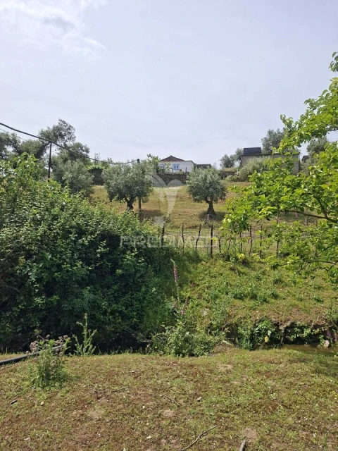 Quinta T3 para Venda em Pardais