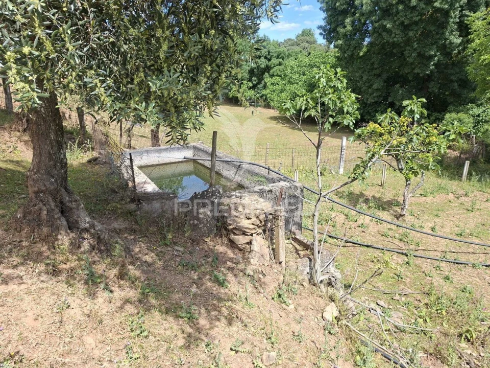 Quinta T3 para Venda em Pardais Foto 28