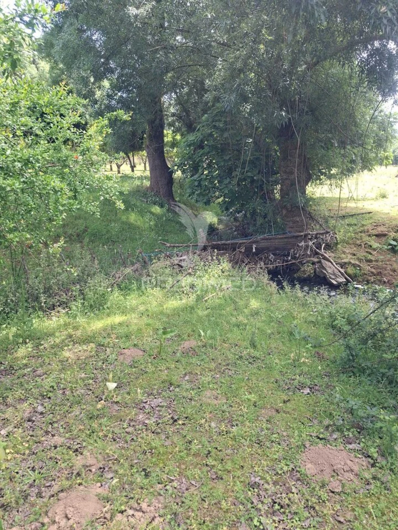 Quinta T3 para Venda em Pardais Foto 24