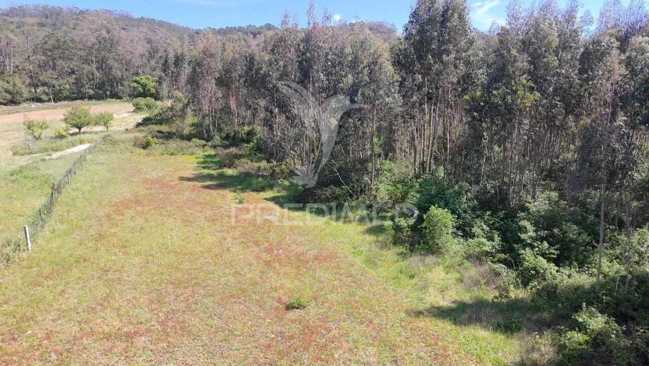 Terreno para Venda em Alfeizerão Foto 10