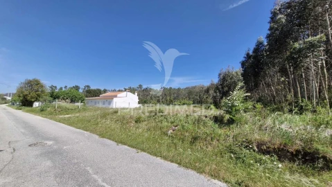 Terreno para Venda em Alfeizerão
