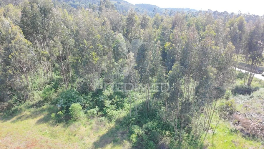 Terreno para Venda em Alfeizerão Foto 8