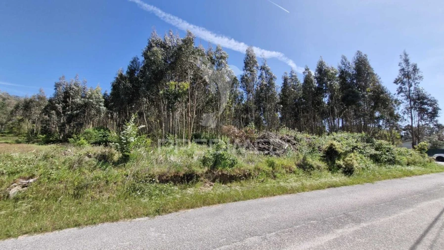 Terreno para Venda em Alfeizerão Foto 2