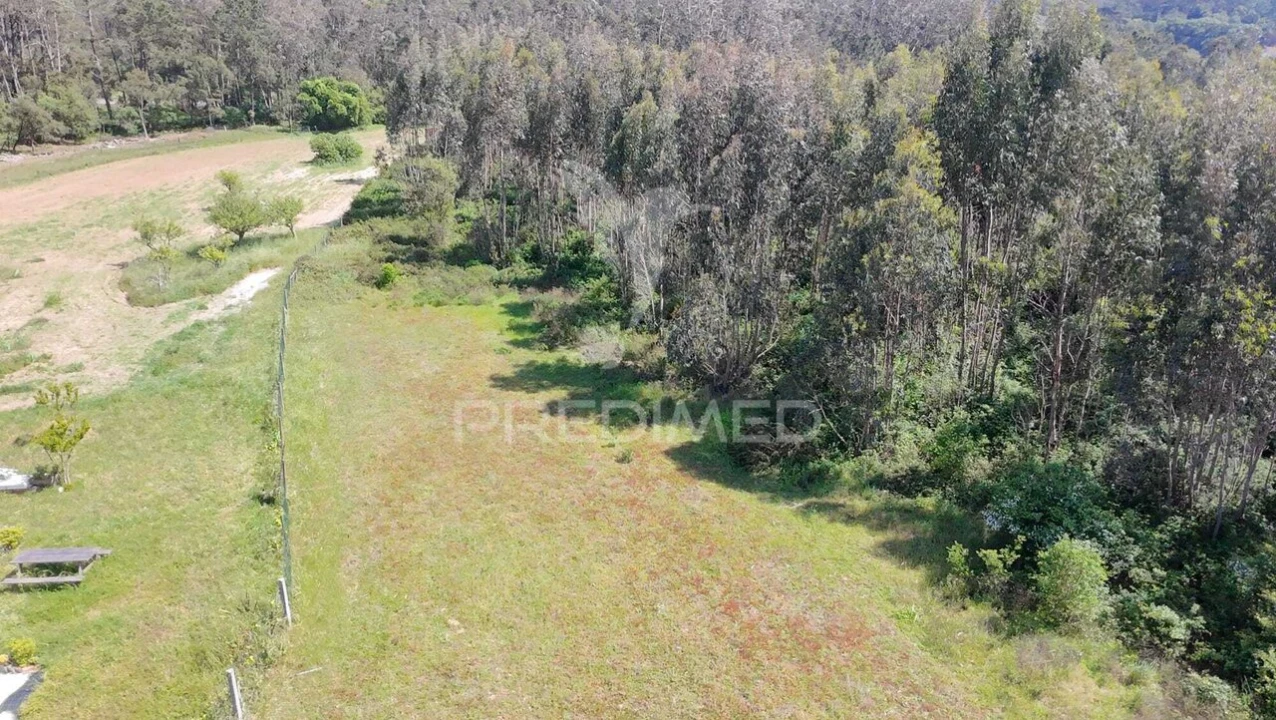 Terreno para Venda em Alfeizerão Foto 6