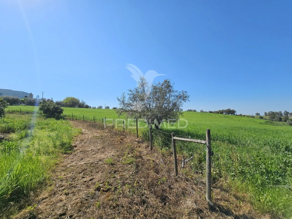 Terreno para Venda em Entradas Foto 12