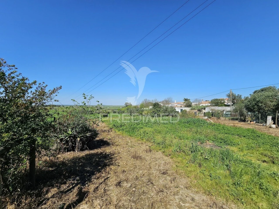 Terreno para Venda em Entradas Foto 10