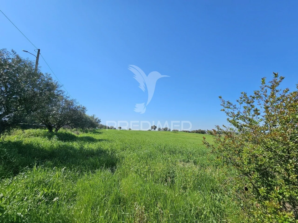 Terreno para Venda em Entradas Foto 9