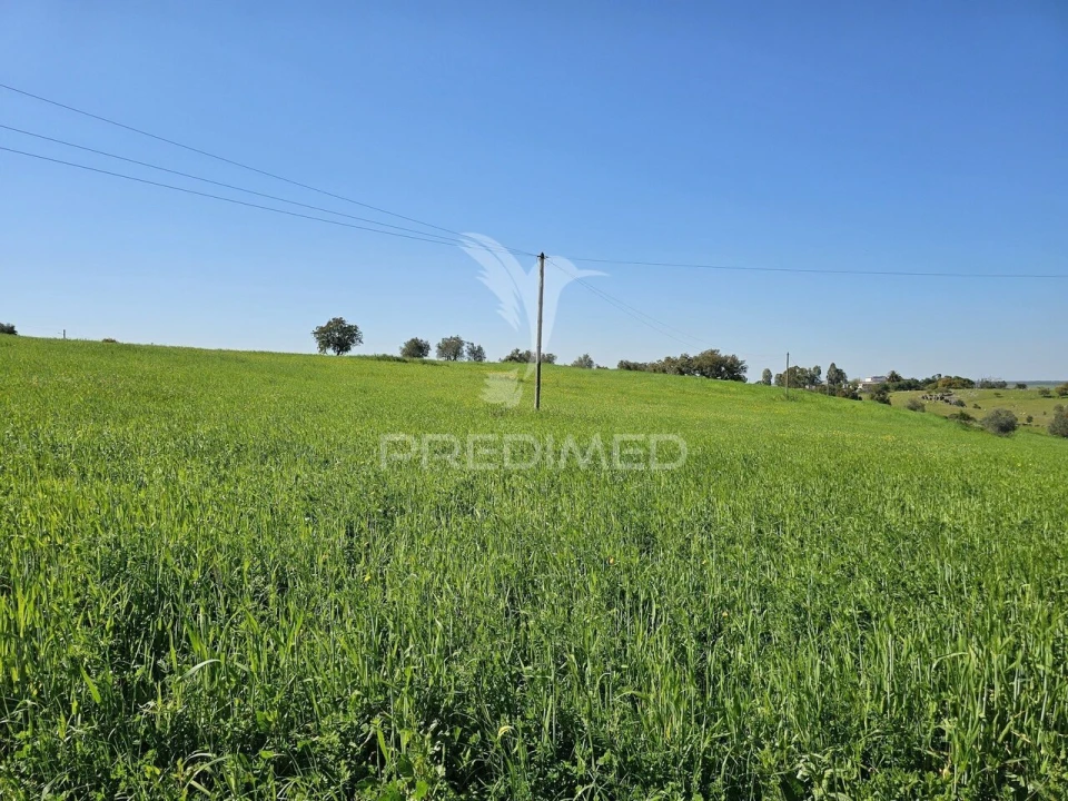 Terreno para Venda em Entradas Foto 11