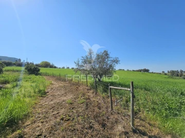 Terreno para Venda em Entradas