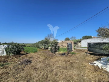 Terreno para Venda em Entradas