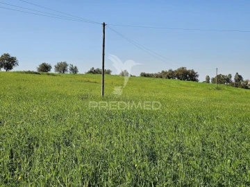 Terreno para Venda em Entradas