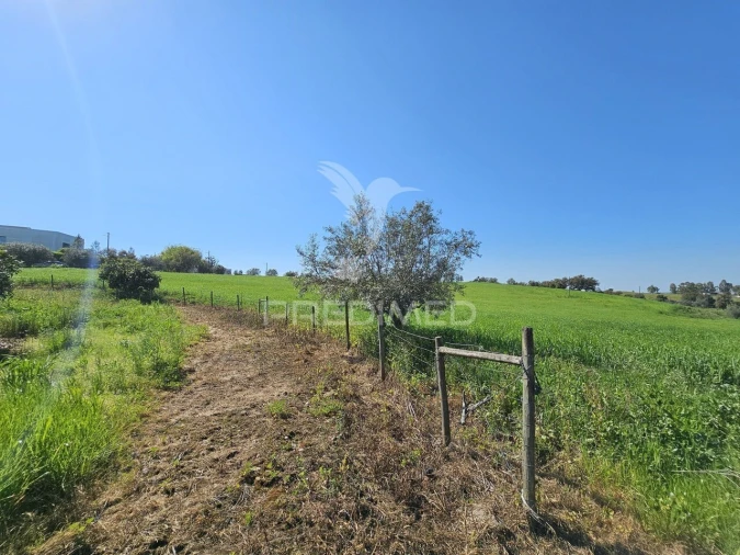 Terreno para Venda em Entradas Foto 12