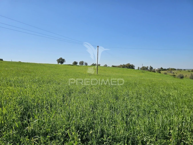 Terreno para Venda em Entradas Foto 11