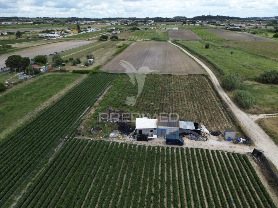 Terreno para Venda em Alpiarça Foto 2