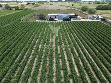 Terreno para Venda em Alpiarça