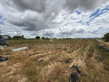 Terreno para Venda em Alpiarça