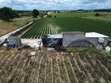 Terreno para Venda em Alpiarça