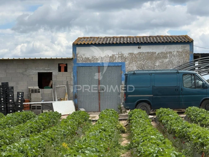 Terreno para Venda em Alpiarça Foto 15