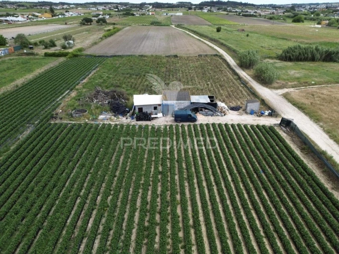 Terreno para Venda em Alpiarça Foto 3