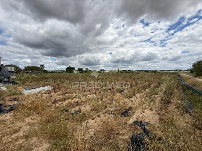 Terreno para Venda em Alpiarça Foto 26