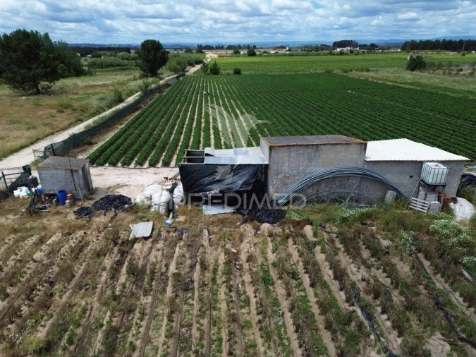 Terreno para Venda em Alpiarça Foto 4