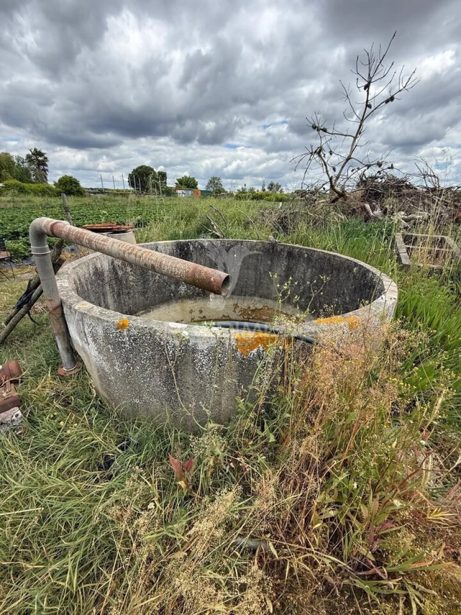 Terreno para Venda em Alpiarça Foto 24